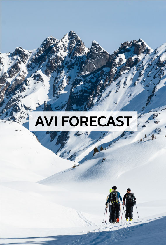 Cooke City Avalanche Forecast