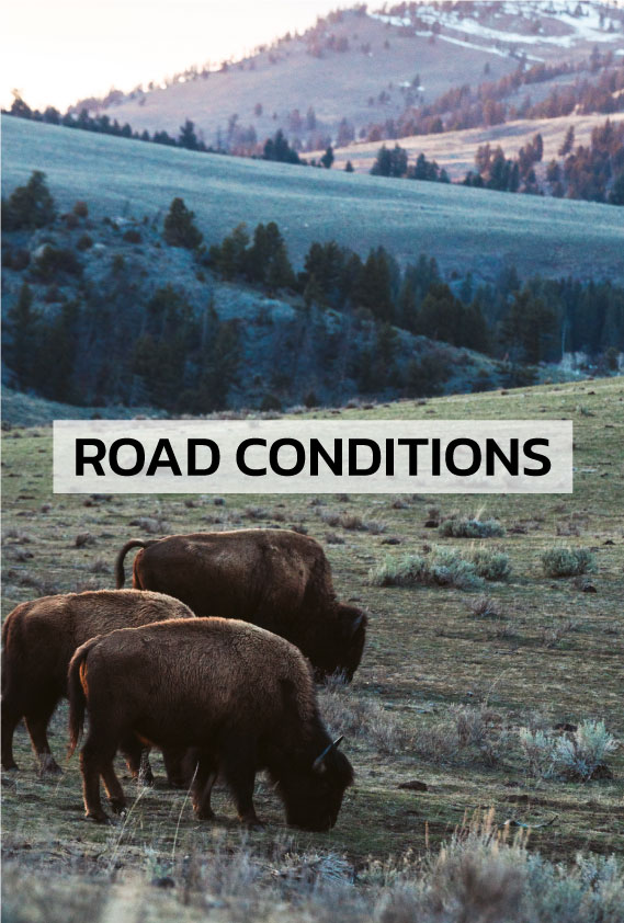 Cooke City & Yellowstone Road Conditions